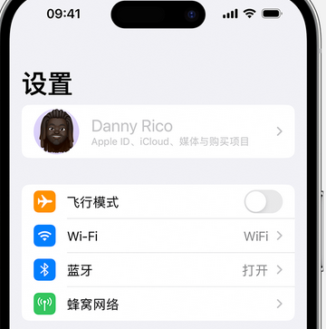 土默特右appleID维修服务iPhone设置中Apple ID显示为灰色无法使用 