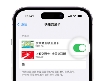 土默特右apple维修点分享iPhone上更换Apple Pay快捷交通卡手绘卡面 