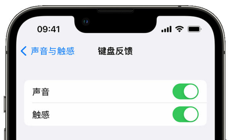 土默特右苹果手机维修分享iPhone 14触感键盘使用方法 