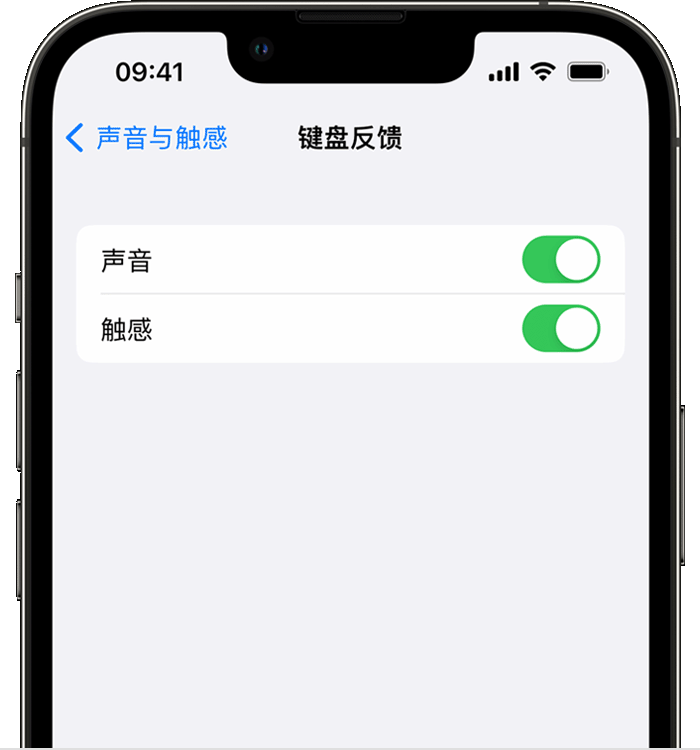 土默特右苹果14维修店分享如何在 iPhone 14 机型中使用触感键盘 