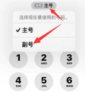 土默特右苹果14维修店分享iPhone 14 Pro Max使用副卡打电话的方法 