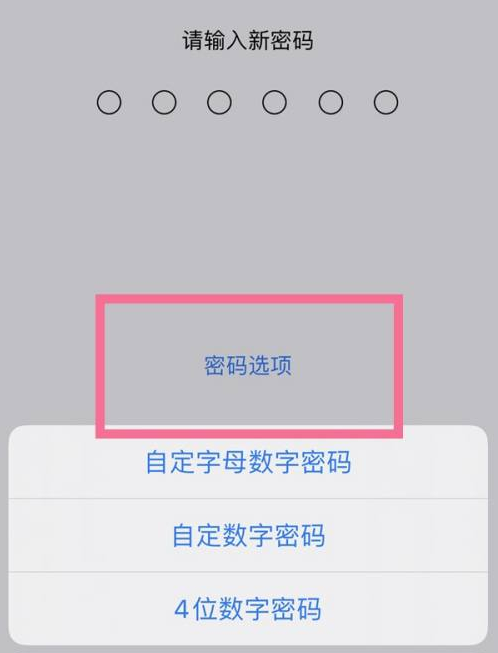 土默特右苹果14维修分享iPhone 14plus设置密码的方法 