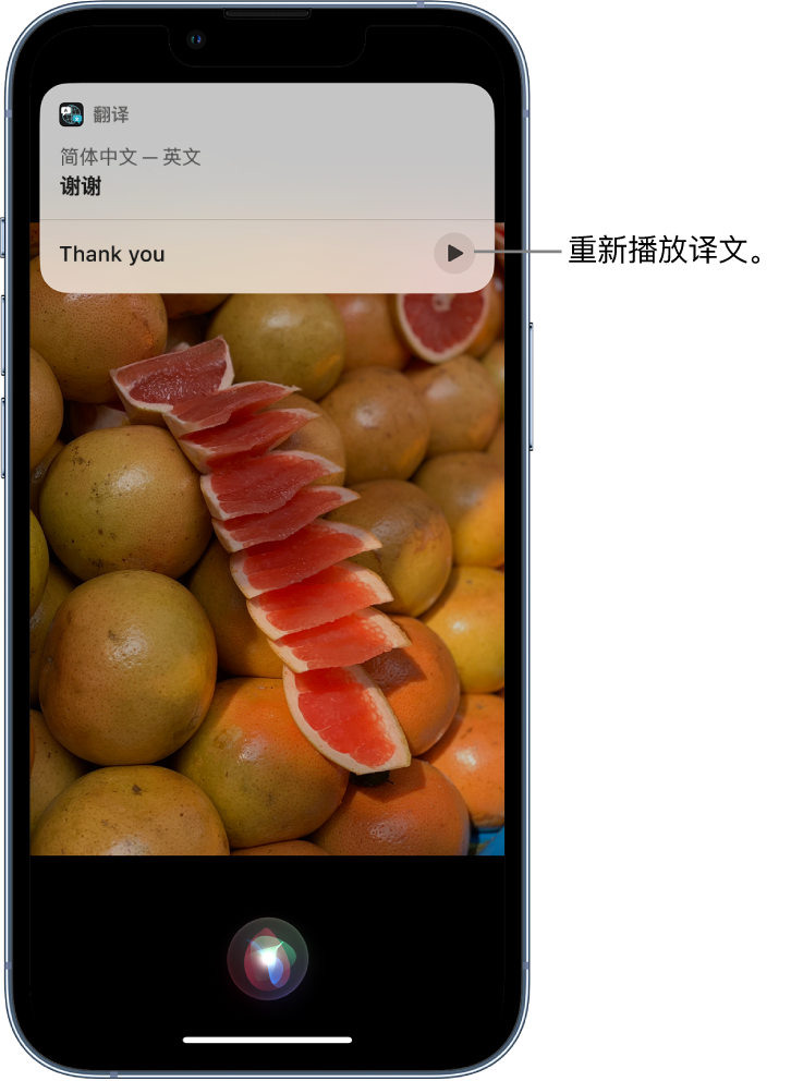 土默特右苹果14维修分享 iPhone 14 机型中使用 Siri：了解 Siri 能帮你做什么 